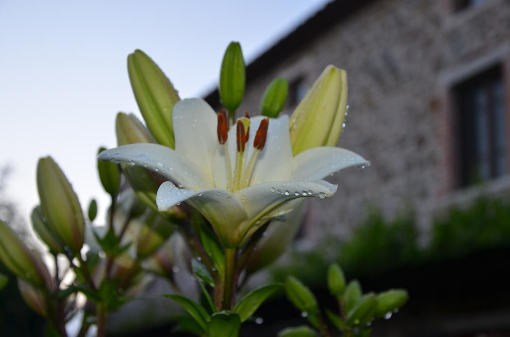 Agriturismo D' Epoca La Marianella Catabbio Kültér fotó